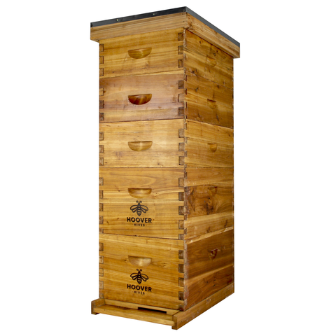 Wax-coated 8-frame beehive, 2 deeps and 3 mediums, front