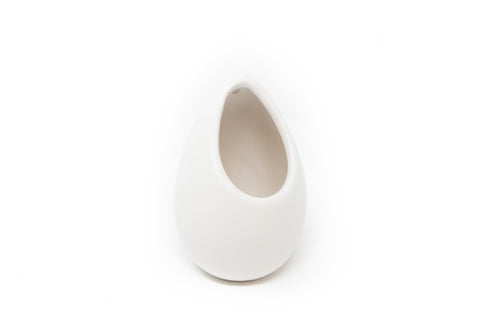 Large Ivory Ceramic Vase with Tillandsia Sparkler Air Plant, retail packaging