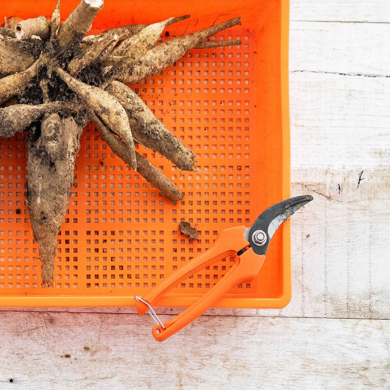 Load image into Gallery viewer, Harvesting Pruning Shears | 185 mm
