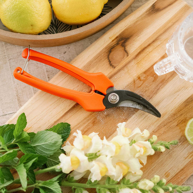 Load image into Gallery viewer, Harvesting Pruning Shears | 185 mm
