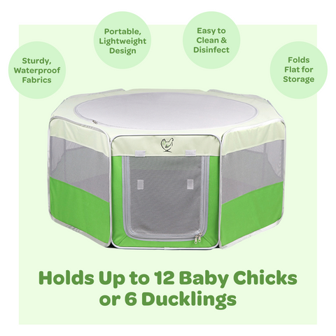 Hen Pen Deluxe Pop-Up Chick Brooder, additional product view 2
