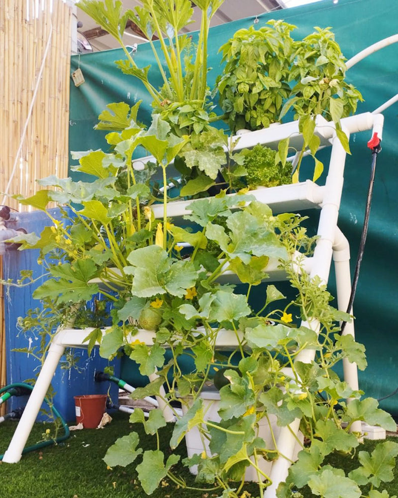 Load image into Gallery viewer, Homie 28 – Home Hydroponic Growing System
