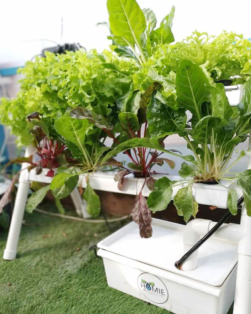 Load image into Gallery viewer, Homie 28 – Home Hydroponic Growing System
