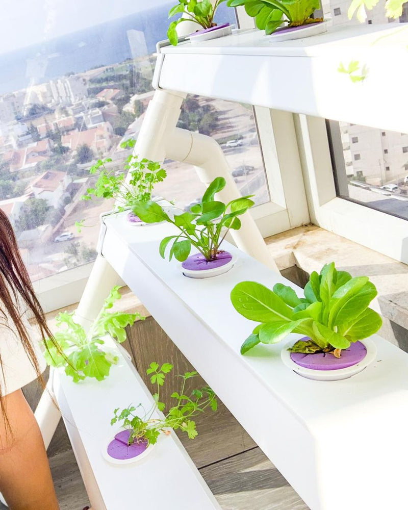 Load image into Gallery viewer, Homie 28 – Home Hydroponic Growing System
