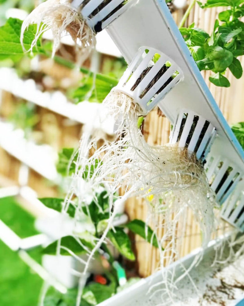 Load image into Gallery viewer, Homie 28 – Home Hydroponic Growing System
