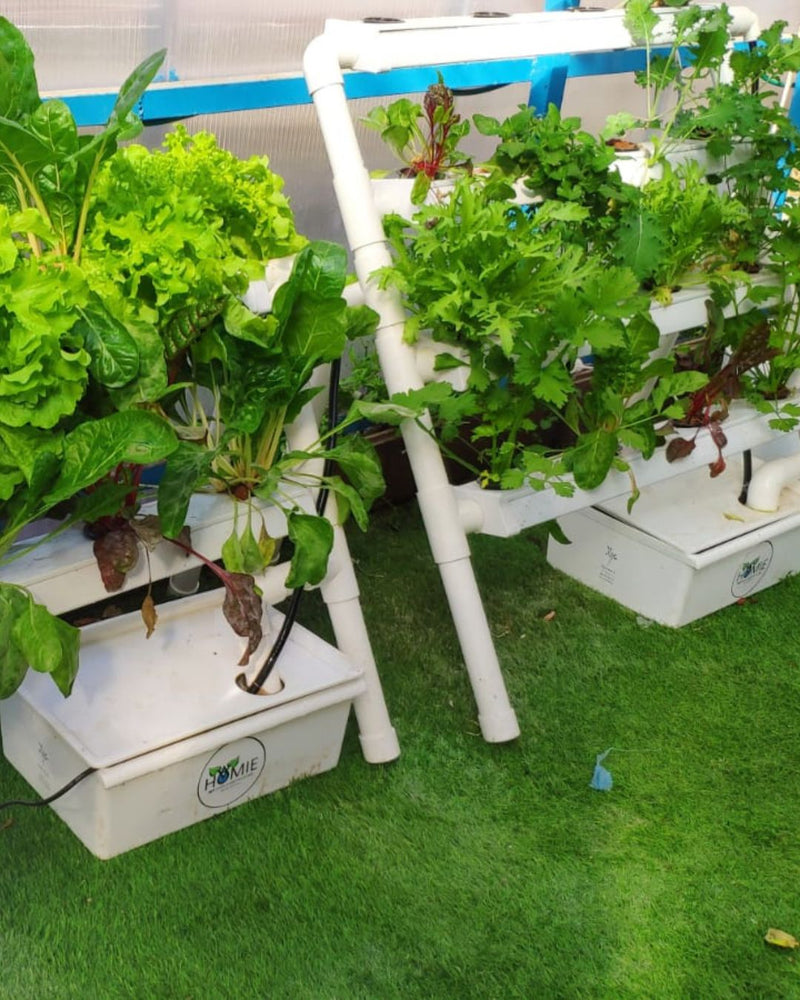 Load image into Gallery viewer, Homie 28 – Home Hydroponic Growing System
