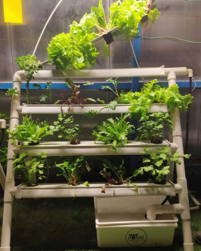 Load image into Gallery viewer, Homie 28 – Home Hydroponic Growing System
