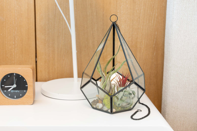 Load image into Gallery viewer, Glass Diamond Terrarium

