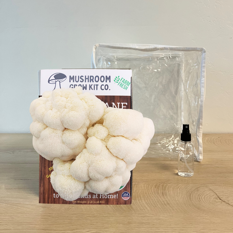 Load image into Gallery viewer, 3 Pack - Premium Lion's Mane, Pink, and Blue Oyster Mushroom Growing Kit - 15 LBS
