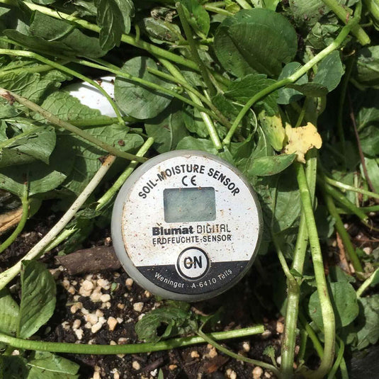 Blumat Digital Moisture Meter Kits