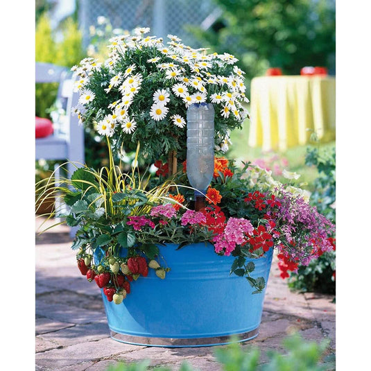 Blumat Bottle Adapter XL Plant Watering Stakes for Large Plants - 4 Pack XL