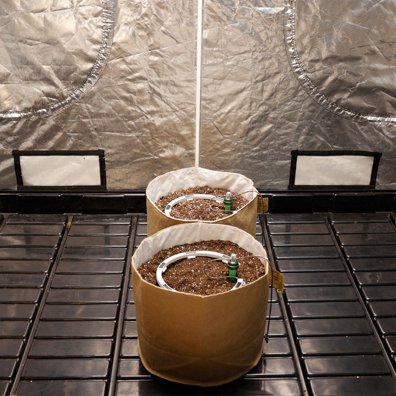 Load image into Gallery viewer, Preset Blumat Grow Tent Irrigation Kit
