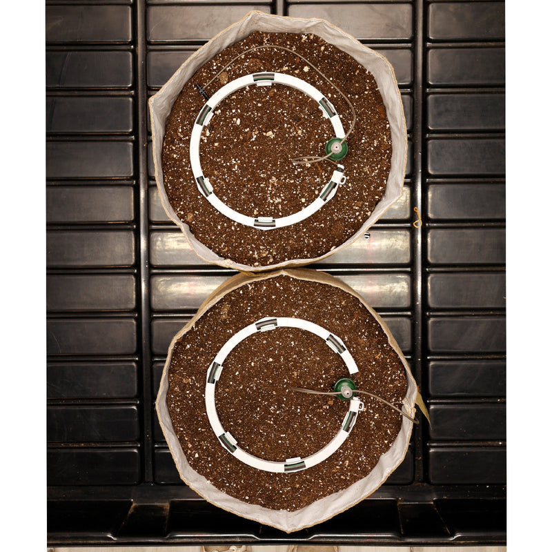 Load image into Gallery viewer, Preset Blumat Grow Tent Irrigation Kit
