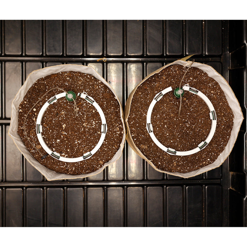 Load image into Gallery viewer, Preset Blumat Grow Tent Irrigation Kit
