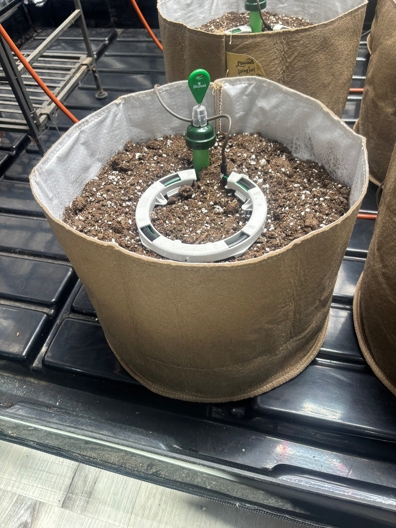 Load image into Gallery viewer, Preset Blumat Grow Tent Irrigation Kit

