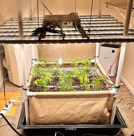 Preset Blumat Grow Tent Irrigation Kit