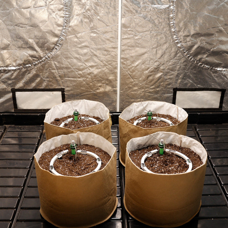 Load image into Gallery viewer, Preset Blumat Grow Tent Irrigation Kit
