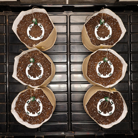 Preset Blumat Grow Tent Irrigation Kit