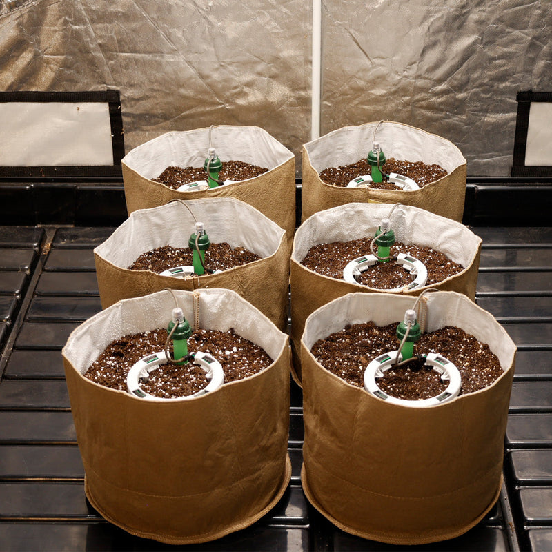 Load image into Gallery viewer, Preset Blumat Grow Tent Irrigation Kit
