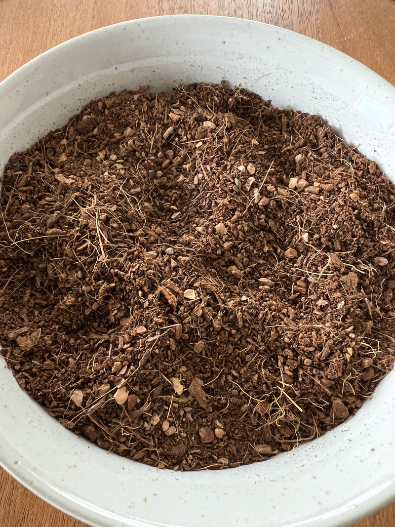 Load image into Gallery viewer, Seedling &amp; Propagation Mix
