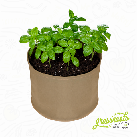 Grassroots living soil fabric pot