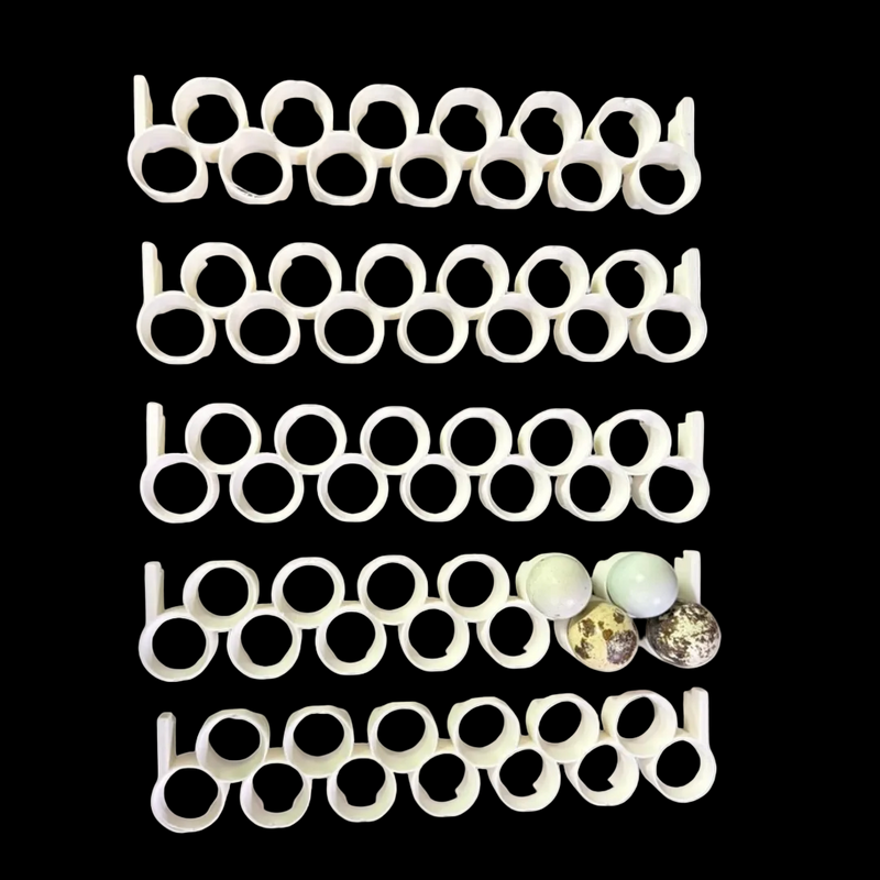 Load image into Gallery viewer, Jumbo Quail Egg Rails for Cimuka / Hatching Time CT60 – Full Set (12 Rails)
