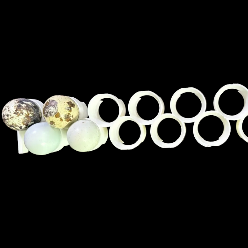 Load image into Gallery viewer, Jumbo Quail Egg Rails for Cimuka / Hatching Time CT60 – Full Set (12 Rails)

