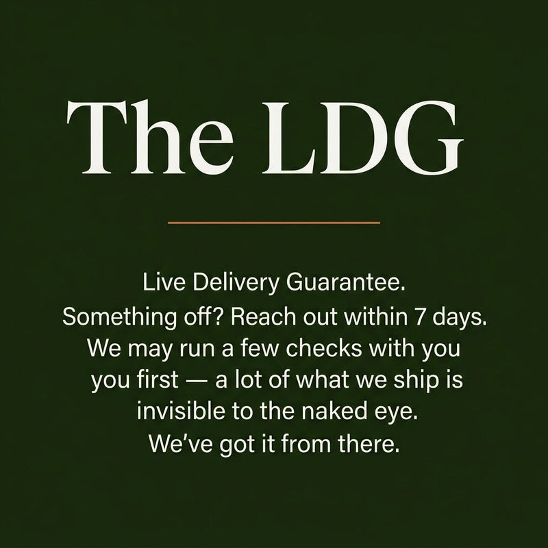 Load image into Gallery viewer, Dalotia coriaria - Rove Beetle
