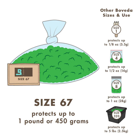 Boveda 62% humidity control packs, case of 100
