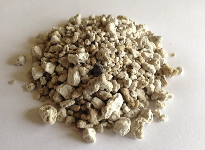 BAS Pumice 1 CF