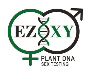 Farmer Freeman EZ-XY DNA Test, 5-Pack