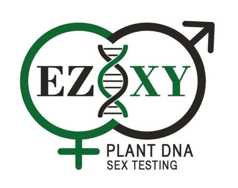 Farmer Freeman EZ-XY DNA Test, 5-Pack