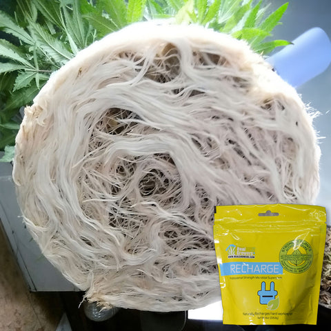 Real Growers Inc Recharge, additional product view 2