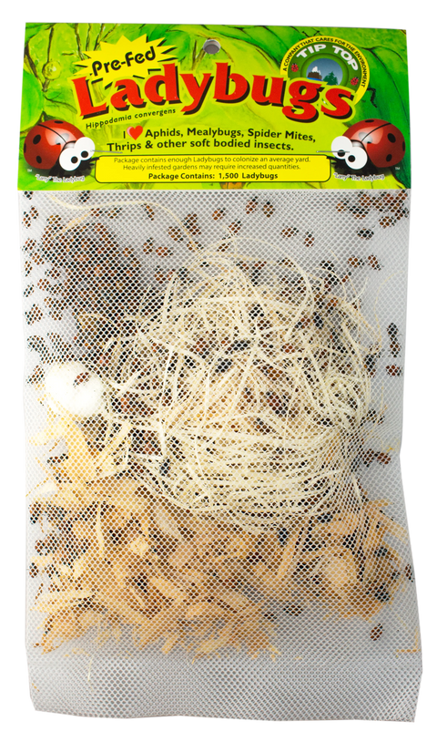 Tip Top live ladybugs, 750-count mesh release bag