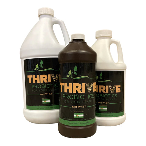BuildASoil Thrive Probiotics Yah-Whey bottle, 1 quart