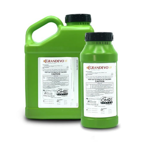 Marrone Bio Grandevo CG bioinsecticide, 1 lb container