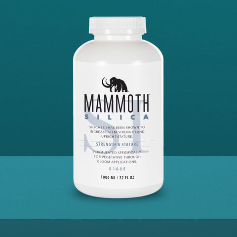 Mammoth Silica bottle