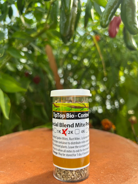 Tip Top predatory mite blend, 1,000-count release bottle