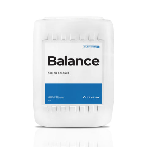Athena Balance jug, 5 gallon