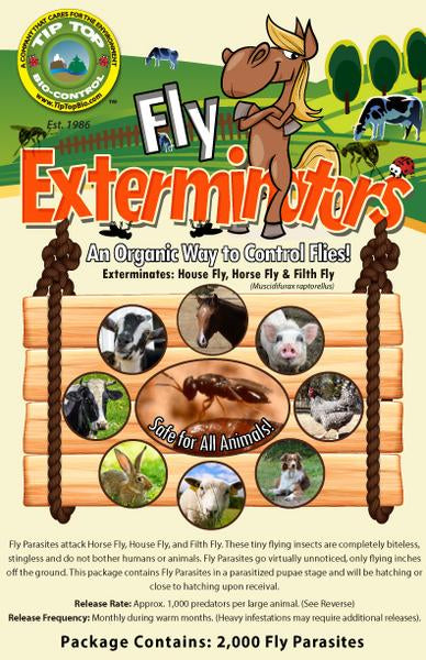 Tip Top Fly Exterminator parasitic wasp release packet