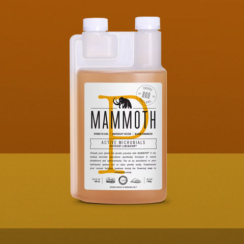 Mammoth P beneficial bacteria supplement bottle, 500 milliliters