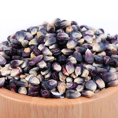 BuildASoil blue corn cover crop seed bag, 2.5 pounds