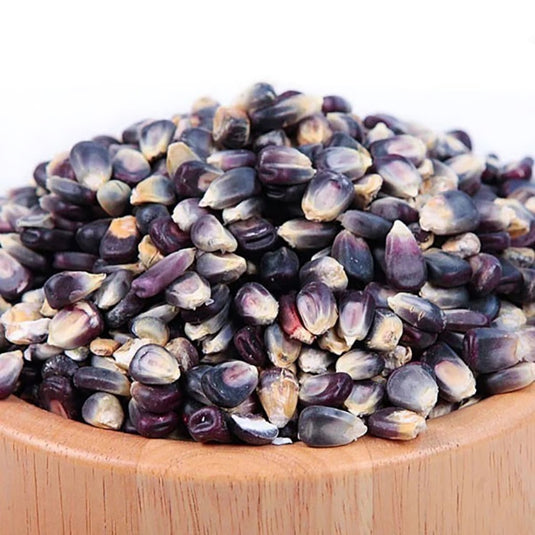 BAS Blue Corn Seed 2.5lb