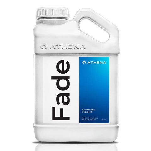 Athena Fade jug, 1 gallon