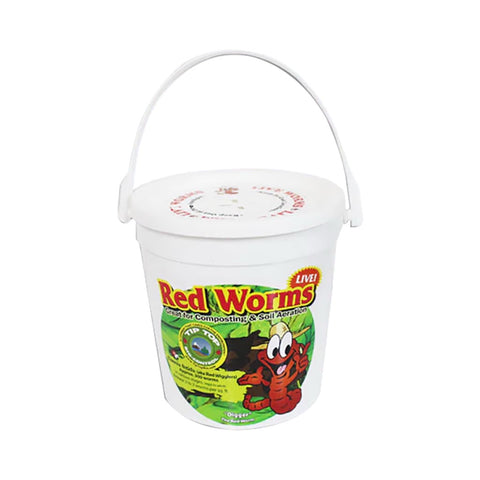 Tip Top red wiggler composting worms, 200-count bag