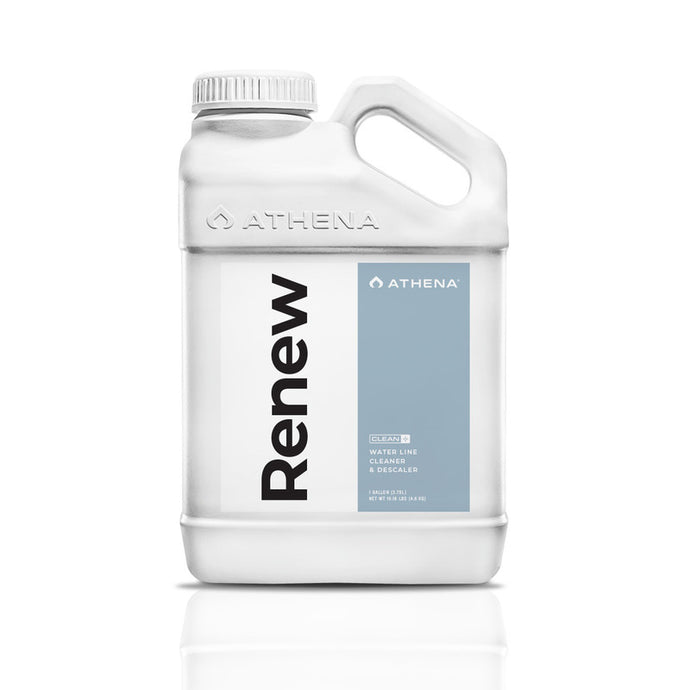 Athena Renew Gallon