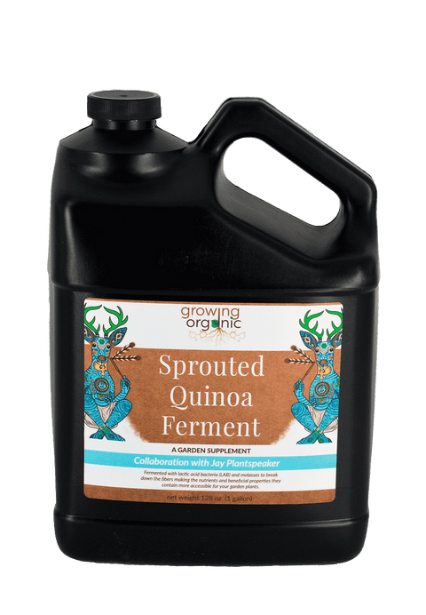 BAS Sprouted Quinoa Fermented jug, 1 gallon