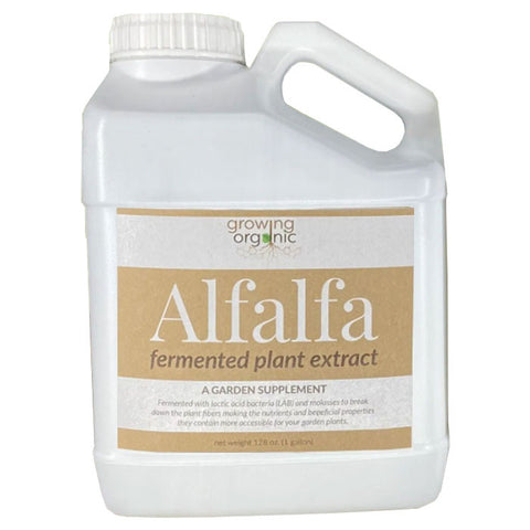 BAS Alfalfa Fermented jug, 1 gallon
