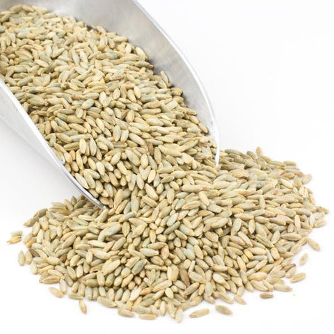 Myco Labs bulk organic rye berries, 20 pounds