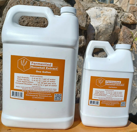 BAS Horse Tail Ferment jug, 1 gallon